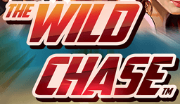 the wild chase casino