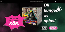 SpinLovers - en site för casinoälskare