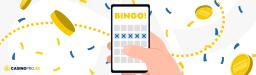 bingo online i mobilen